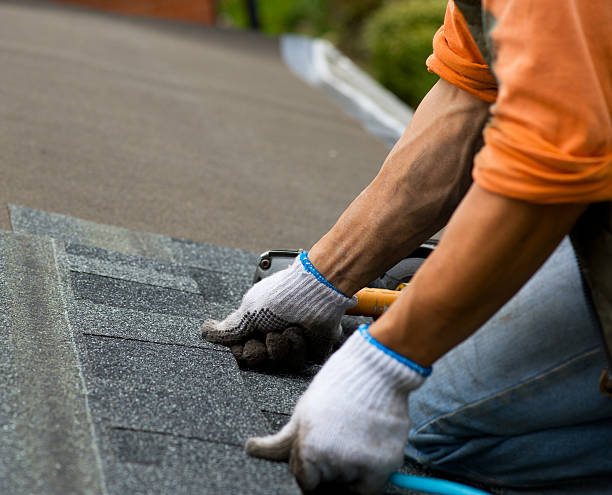 Best Gutter Installation and Roofing  in Elsmere, DE